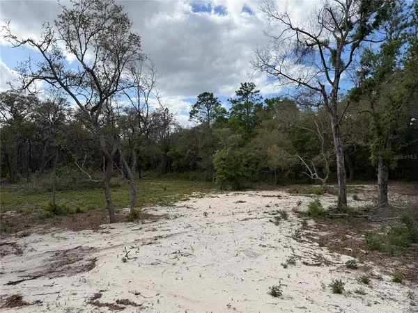 $155,000 | 10671 Northeast 75th Street, Bronson, FL 32621