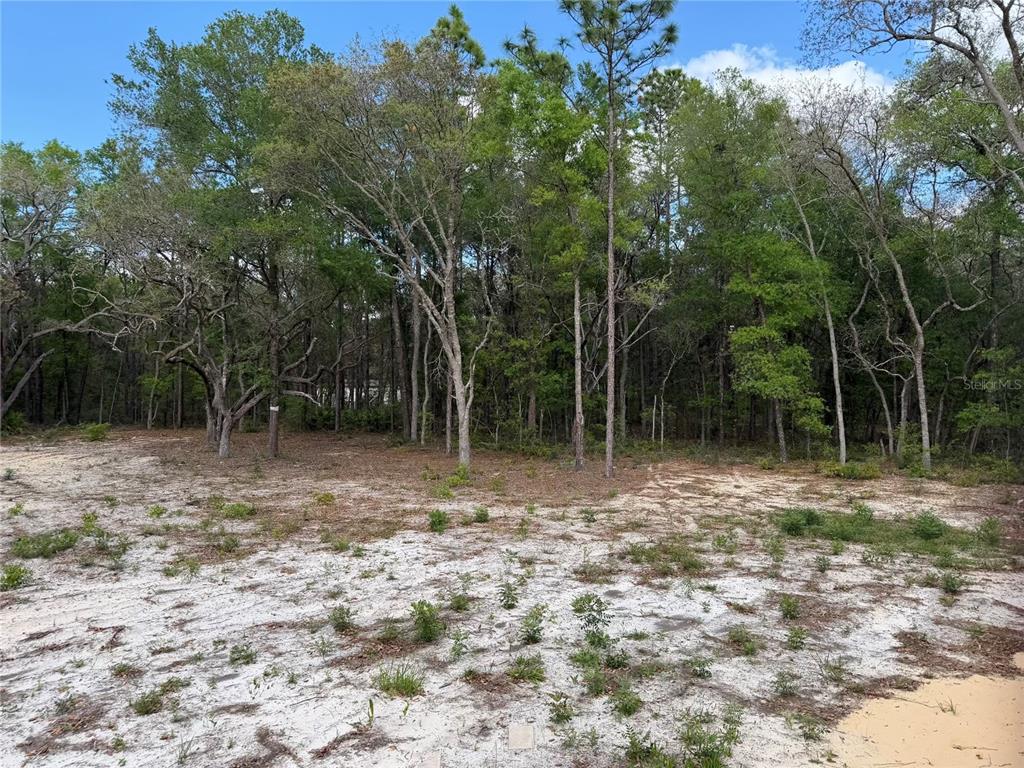 10671 Northeast 75th Street Bronson, FL 32621 - Photo 14 of 15