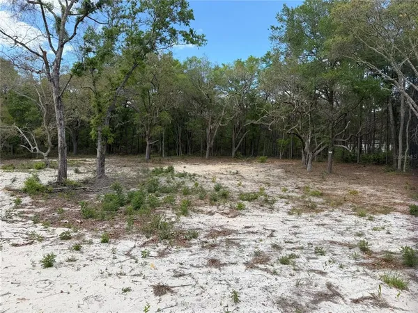 $155,000 | 10671 Northeast 75th Street, Bronson, FL 32621