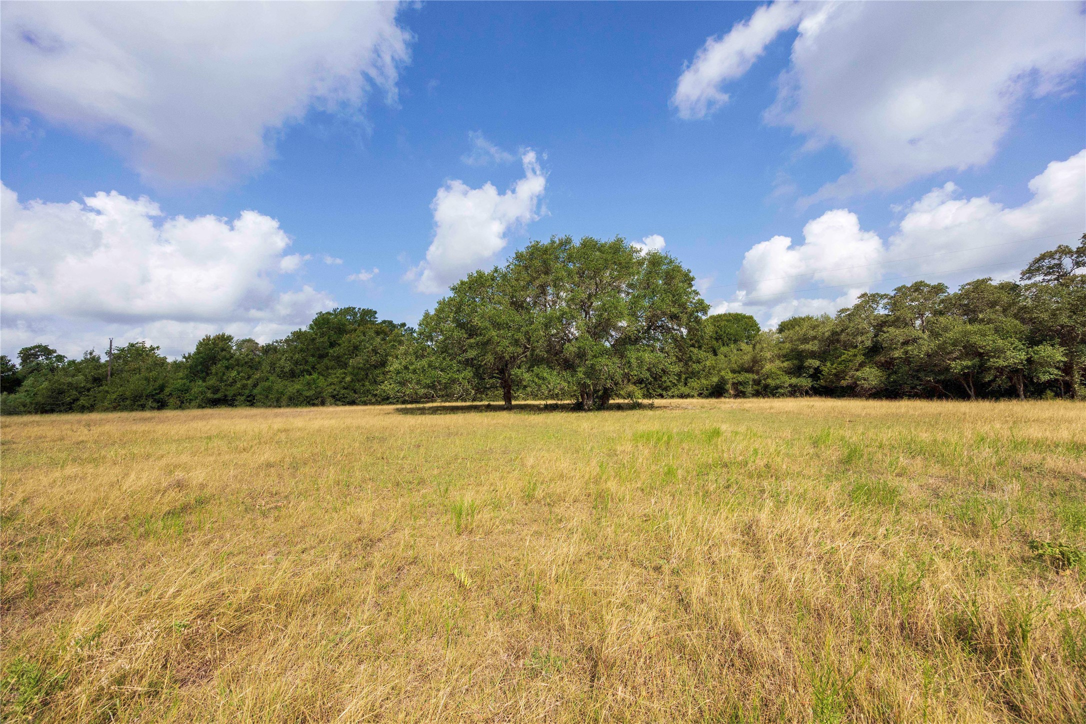 Tbd Stryk Road Flatonia, TX 78941 - Photo 6 of 8 a view of outdoor space and yard