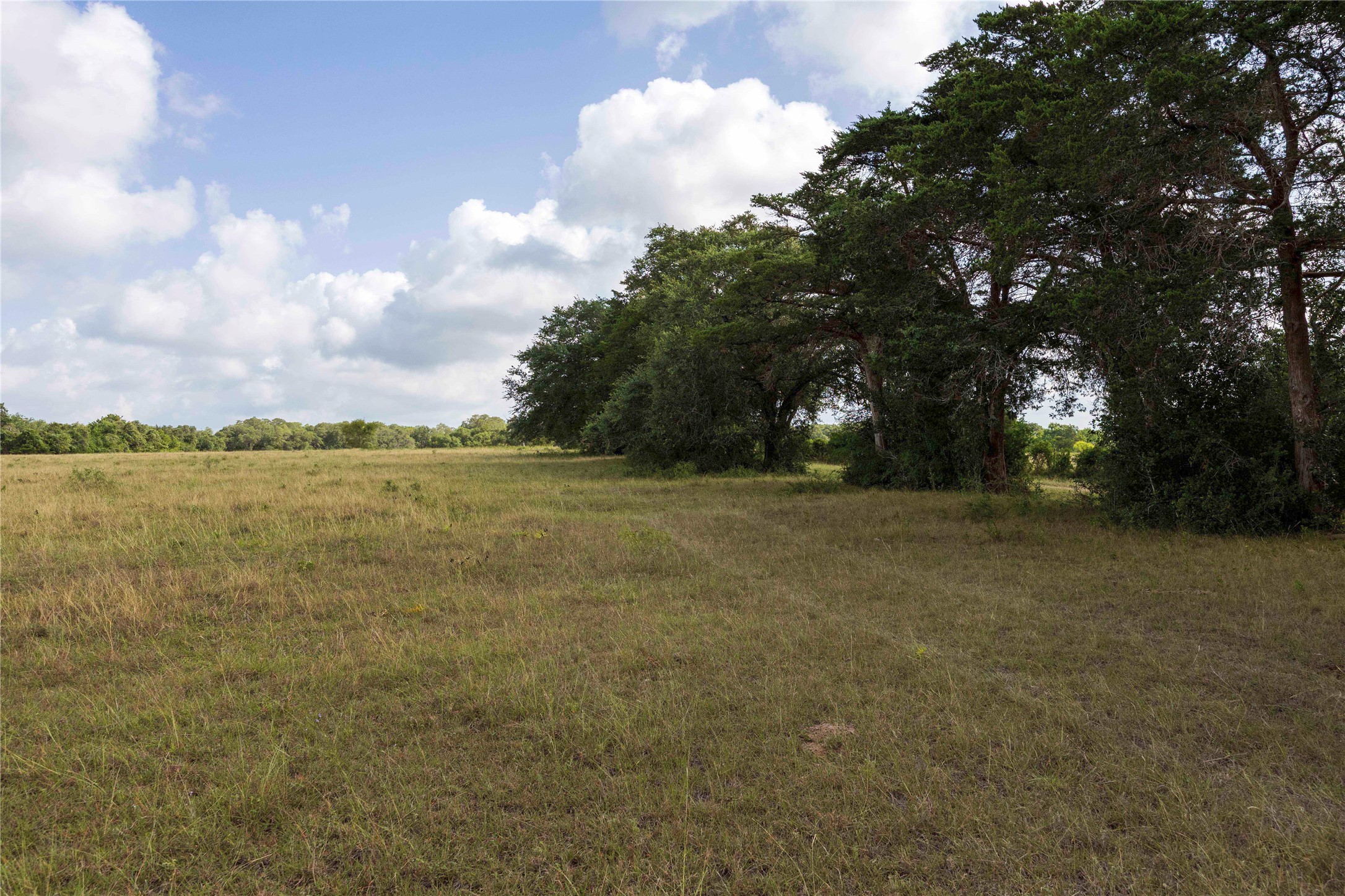 Tbd Stryk Road Flatonia, TX 78941 - Photo 7 of 8 a view of lake with outdoor space