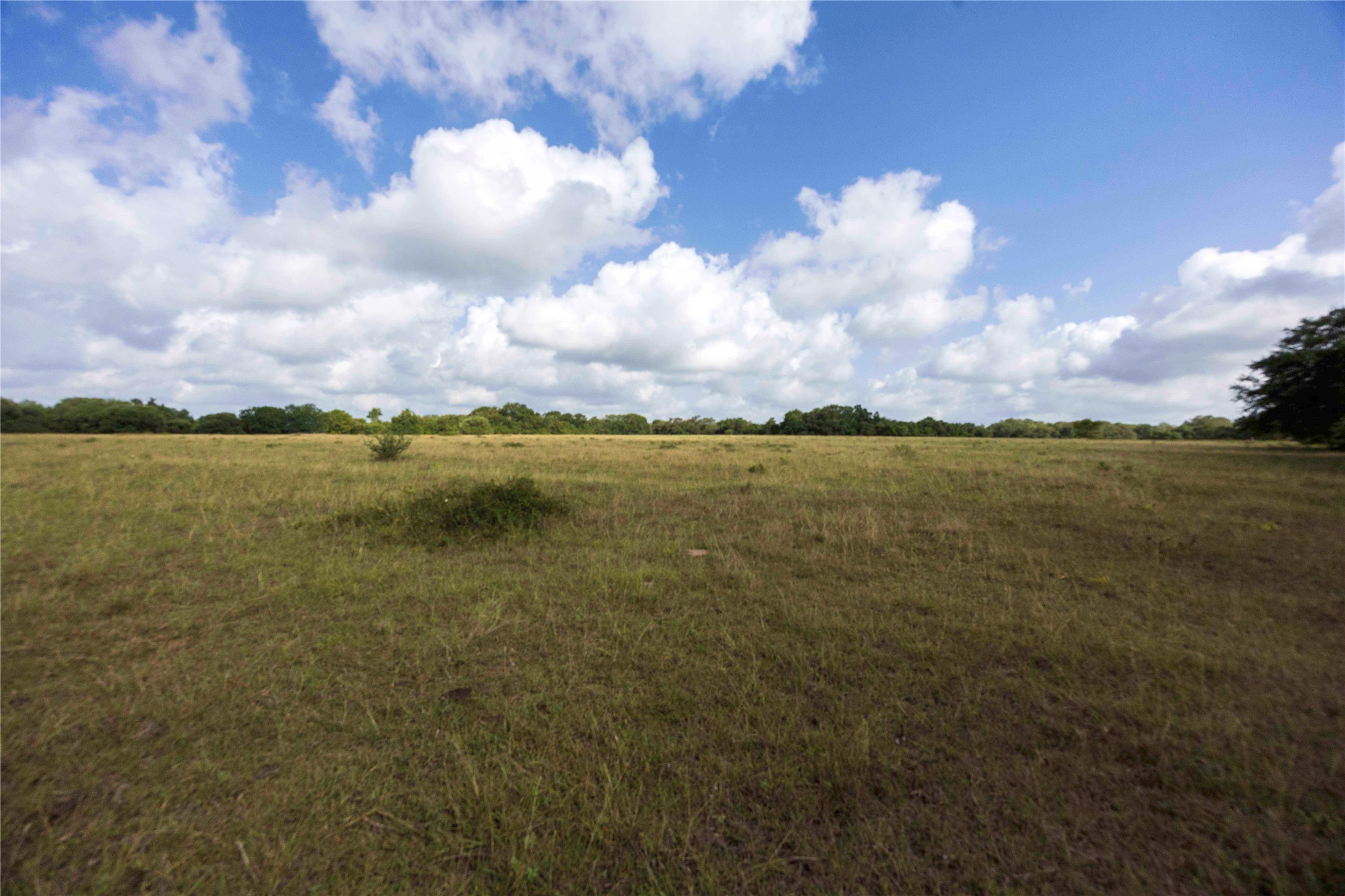 Tbd Stryk Road Flatonia, TX 78941 - Photo 8 of 8