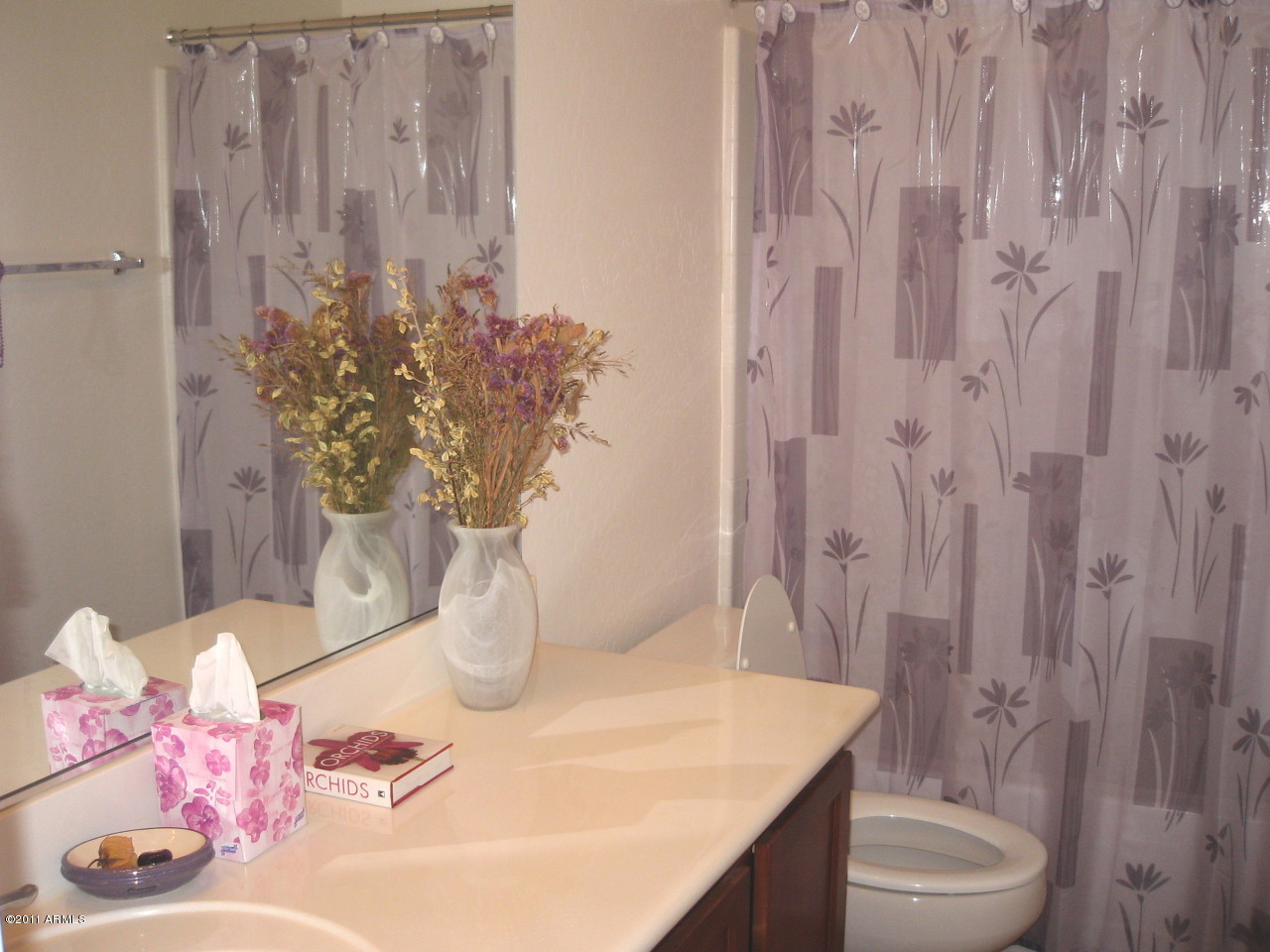 5413 West Apollo Road Laveen, AZ 85339 - Photo 9 of 16 Hallway Bath Room