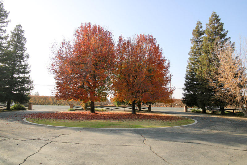 43018 Road 56 Reedley, CA 93654 - Photo 11 of 50 IMG_0507