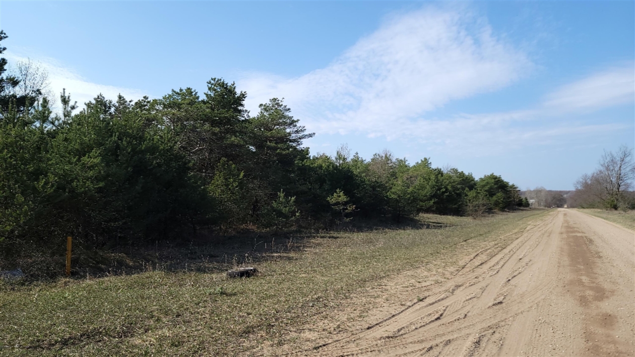Howes Road Kaleva, MI 49645 - Photo 3 of 21