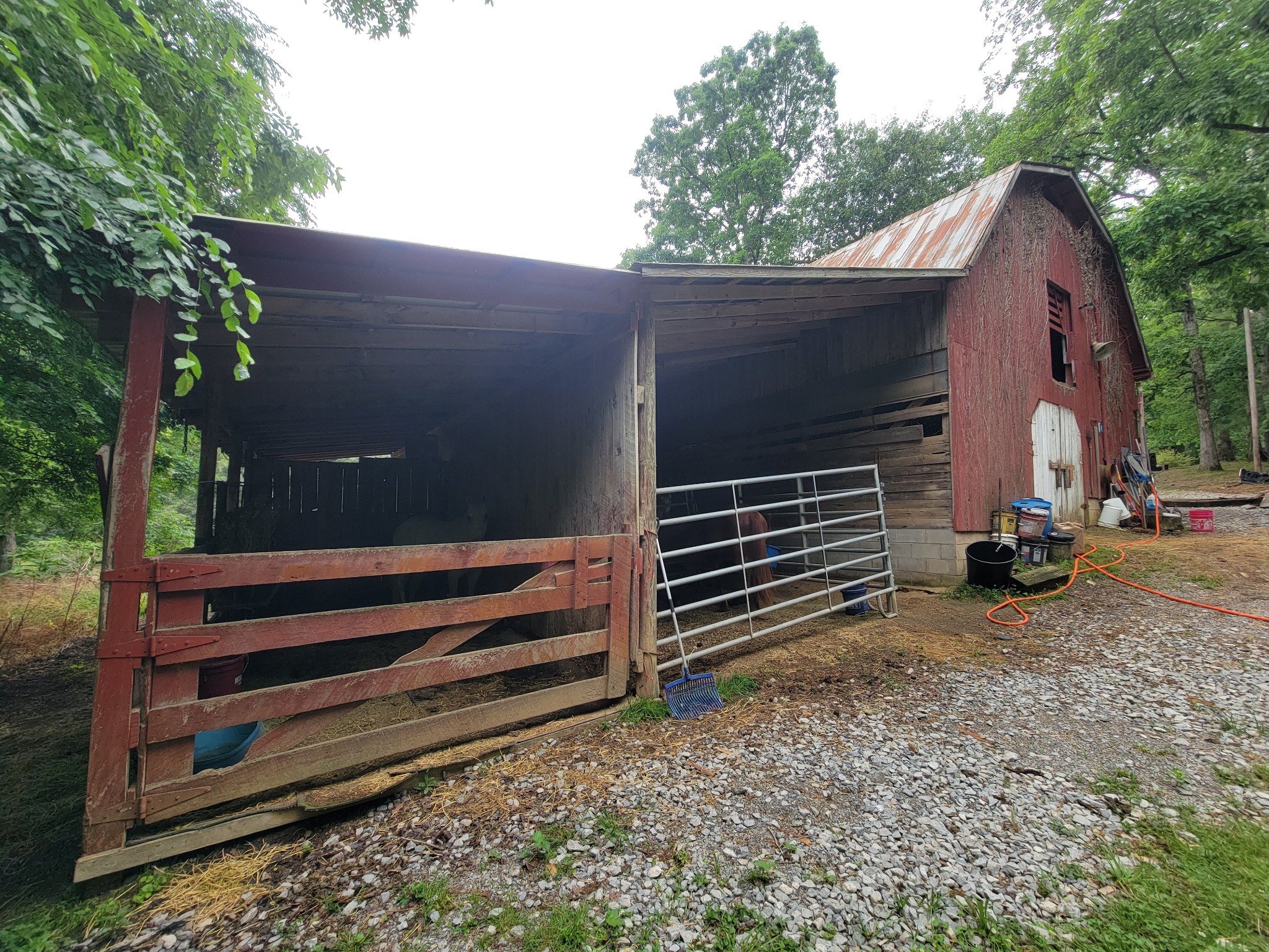 1089 Jim Clark Road Erin, TN 37061 - Photo 48 of 71