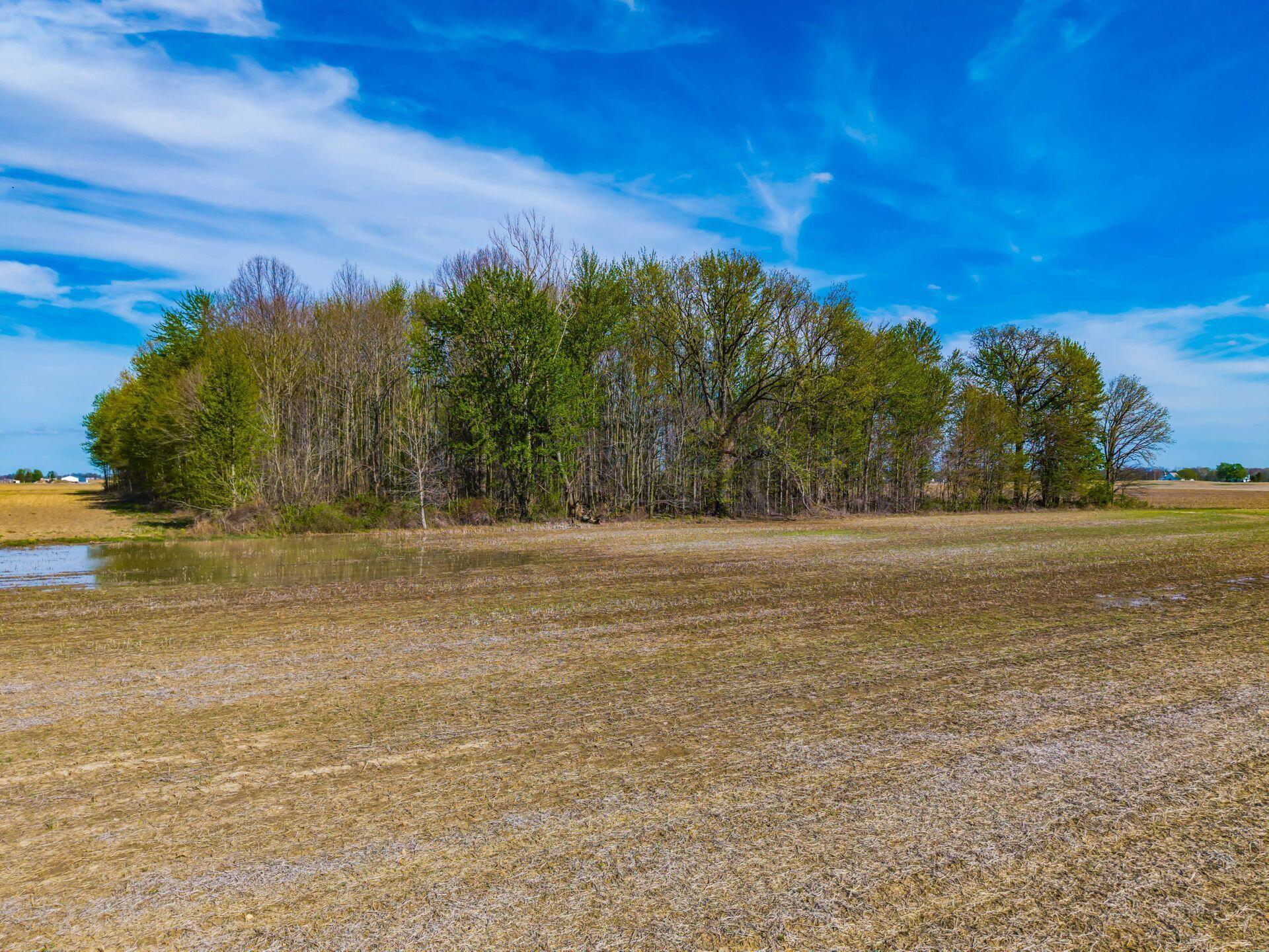 0 Fields Road Richwood, OH 43344 - Photo 12 of 30 .