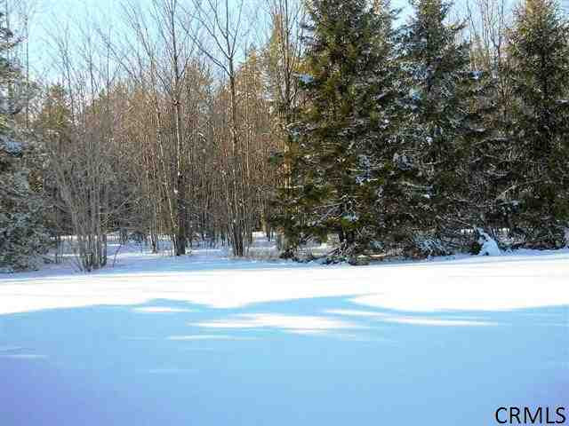 110 Zellner Road Summit, NY 12175 - Photo 8 of 17 Photo 8