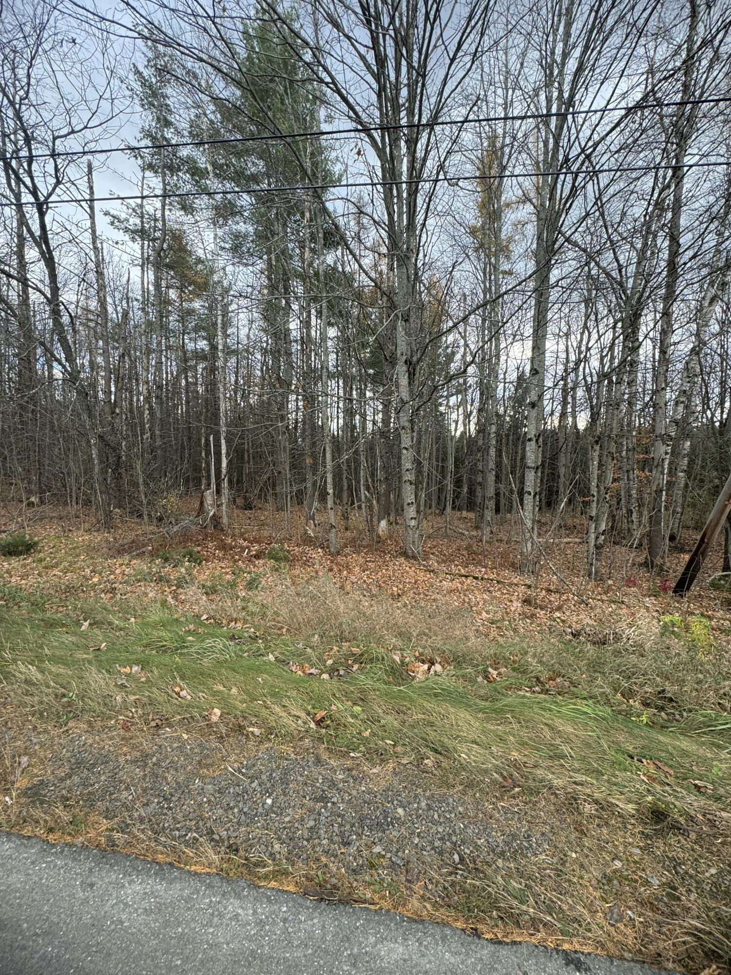 320 Milo Road Sebec, ME 04426 - Photo 16 of 22 IMG_8068