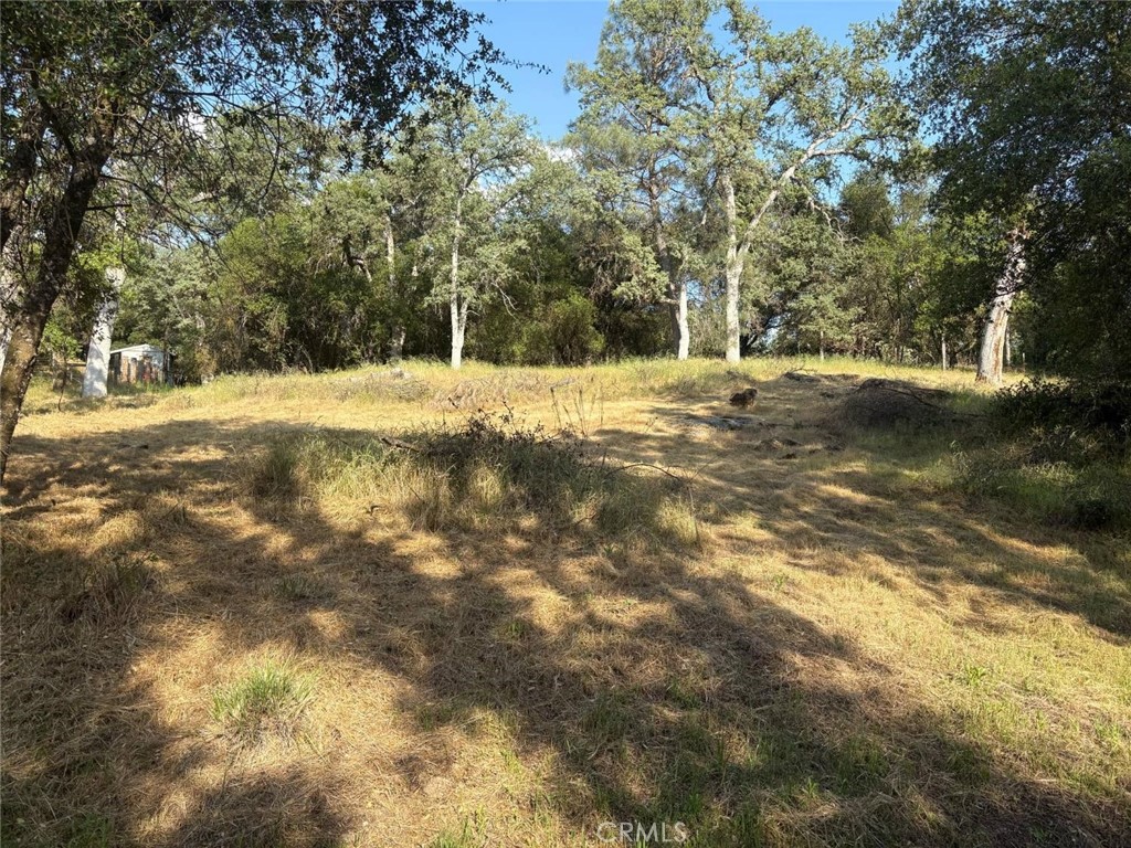 0 Chickasaw Road Coarsegold, CA 93614 - Photo 4 of 9 a view of yard with trees