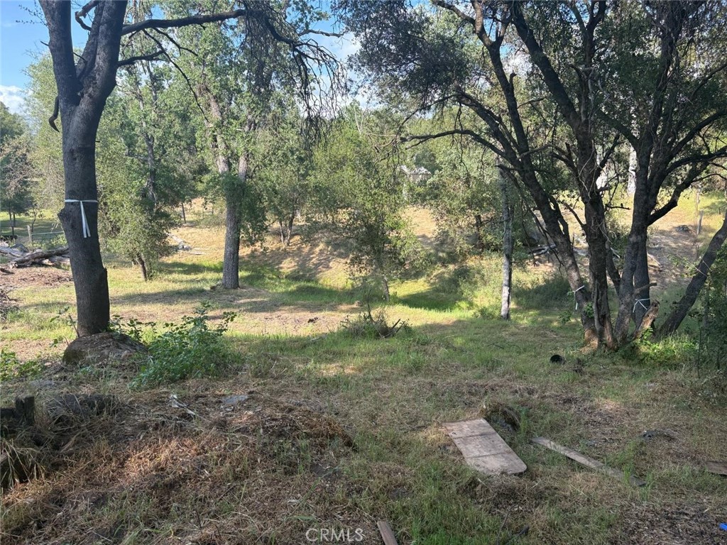 0 Chickasaw Road Coarsegold, CA 93614 - Photo 6 of 9 a view of a yard with trees