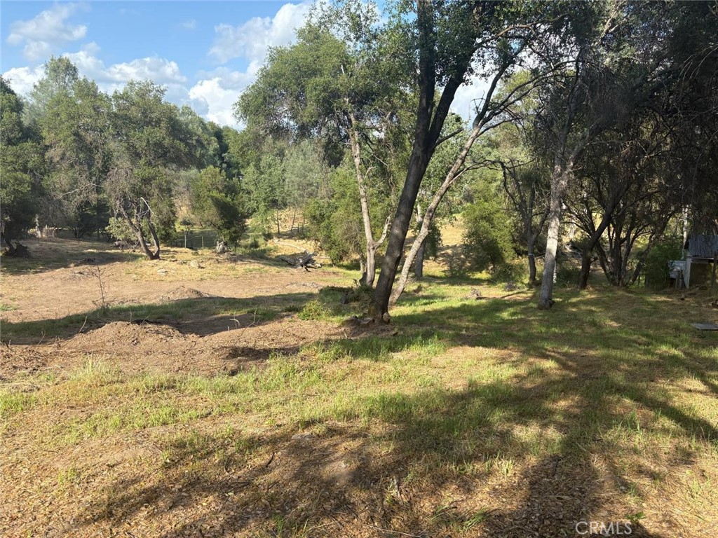 0 Chickasaw Road Coarsegold, CA 93614 - Photo 7 of 9 a view of empty space with trees