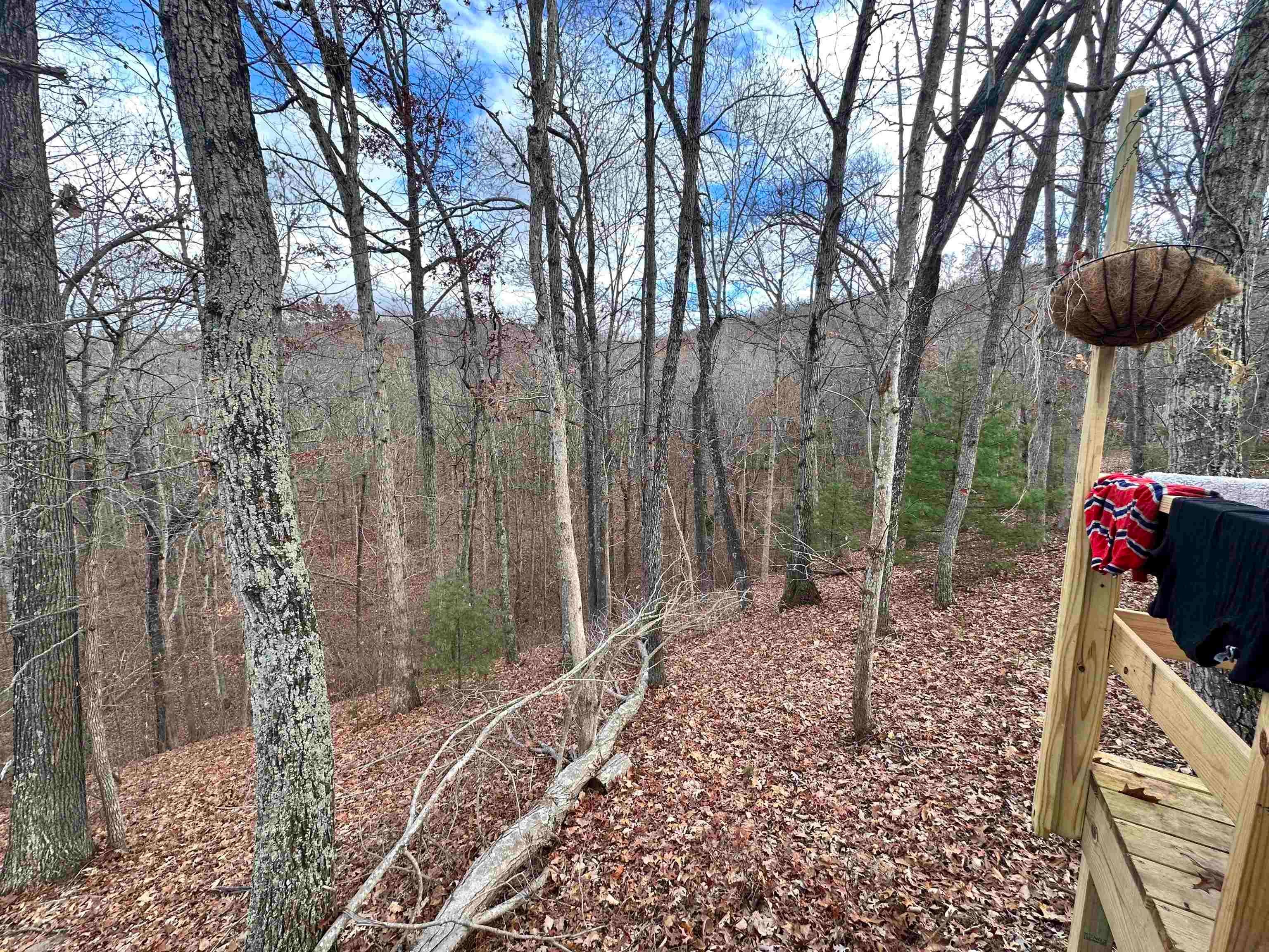 3745 Case Knife Road Pulaski, VA 24301 - Photo 6 of 10 Gallery Image 6