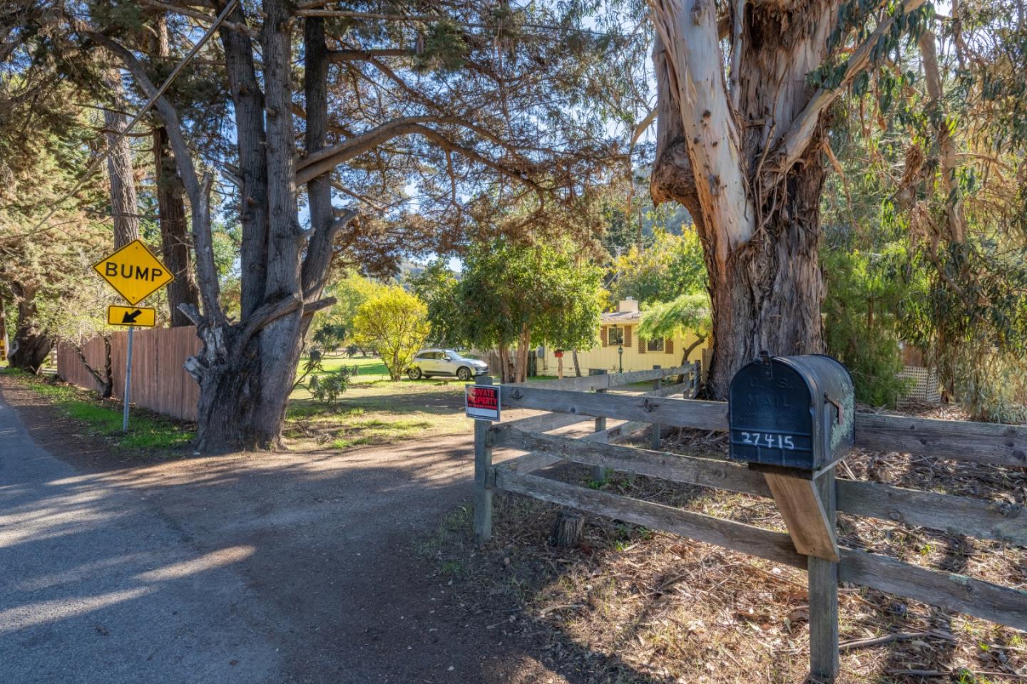 27415 Schulte Road Carmel, CA 93923 - Photo 22 of 30 a view of a yard with plants and a large tree