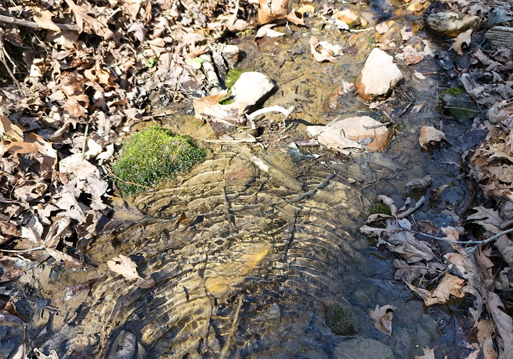 678 Reserve Road Blairsville, GA 30512 - Photo 68 of 96