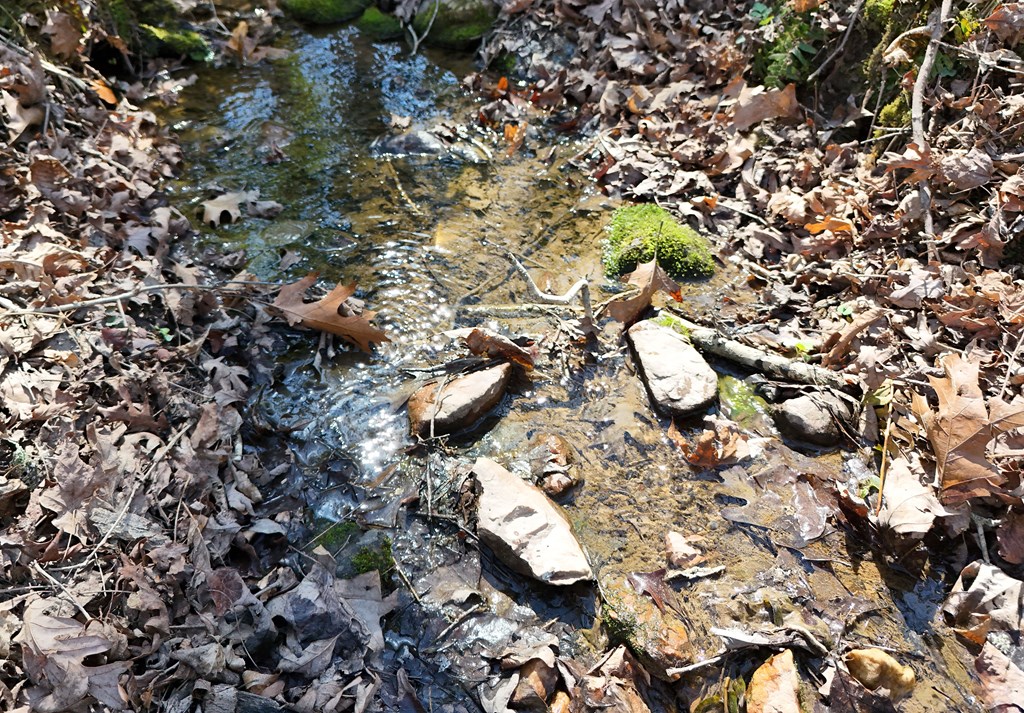 678 Reserve Road Blairsville, GA 30512 - Photo 69 of 96