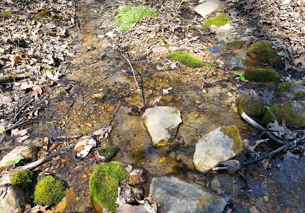 678 Reserve Road Blairsville, GA 30512 - Photo 70 of 96