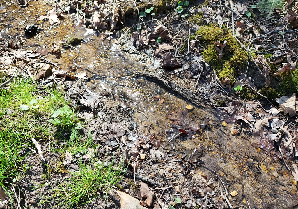 678 Reserve Road Blairsville, GA 30512 - Photo 71 of 96