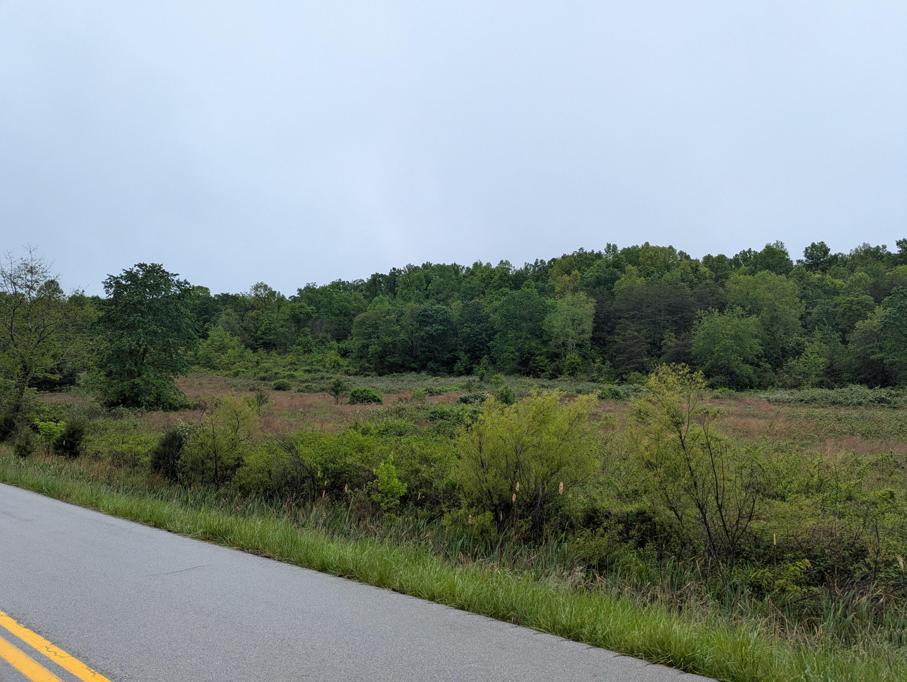 10970 McWhorter Road London, KY 40741 - Photo 24 of 34 PXL_20260506_162649387 (1)