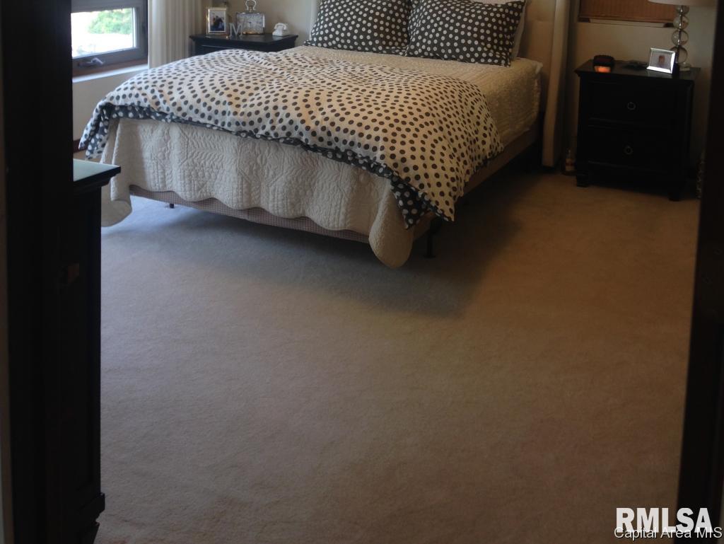 765 Persimmon Road Petersburg, IL 62675 - Photo 13 of 34 Gallery Image 13