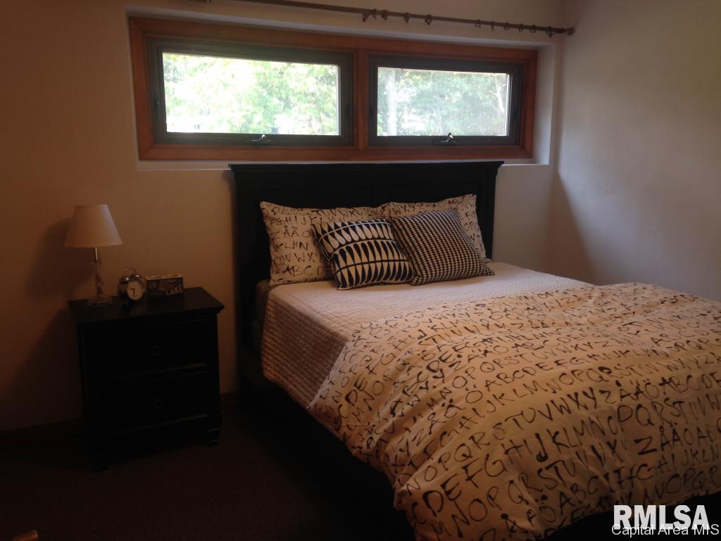 765 Persimmon Road Petersburg, IL 62675 - Photo 25 of 34 Gallery Image 25