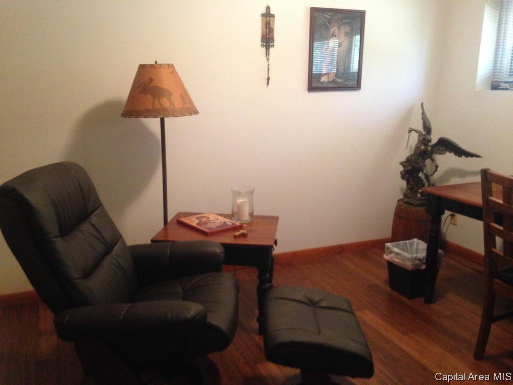 765 Persimmon Road Petersburg, IL 62675 - Photo 27 of 34 Gallery Image 27