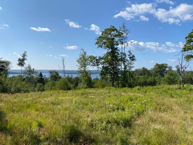 Lot #7 Cape Jellison Road Stockton Springs, ME 04981 - Photo 12 of 15 IMG_1579