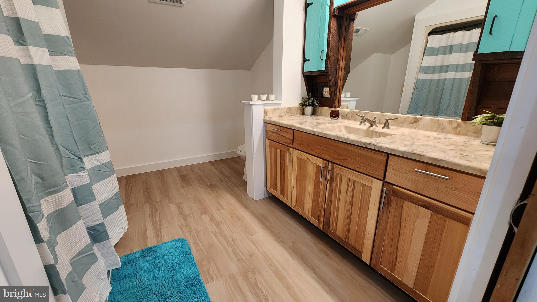 6366 Galestown-Reliance Road Federalsburg, MD 21632 - Photo 50 of 55