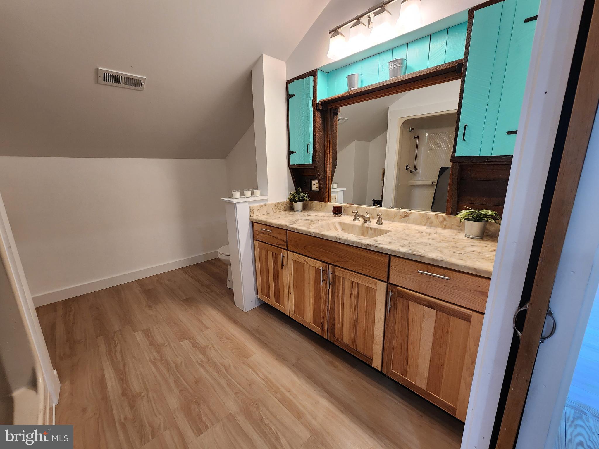 6366 Galestown-Reliance Road Federalsburg, MD 21632 - Photo 6 of 55 a bathroom with a sink and a mirror