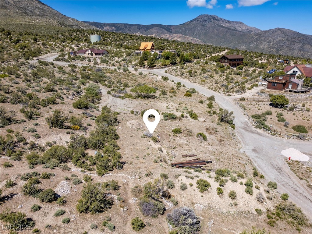 175 Rudin Drive Cold Creek, NV 89124 - Photo 22 of 41
