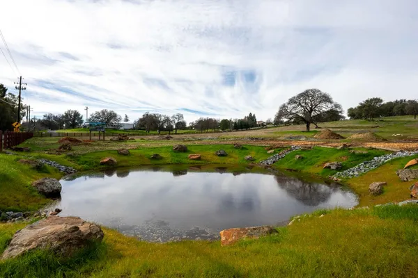 a view of a lake with a city