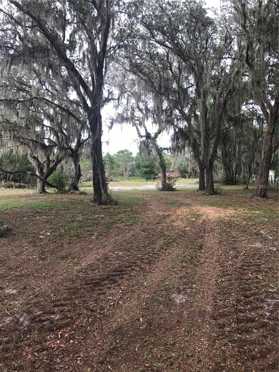 0 80 80 Foot Road Bartow, FL 33830 - Photo 3 of 6