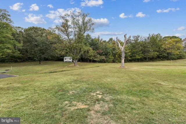 a view of outdoor space with trees