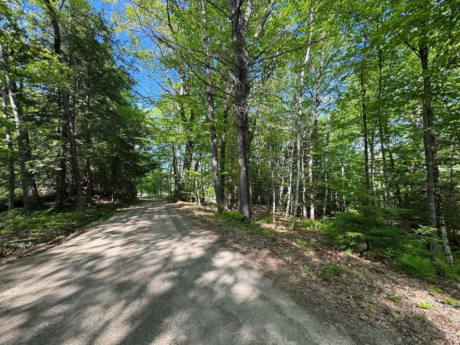 0 Peaked Hill Road Bristol, NH 03222 - Photo 12 of 33