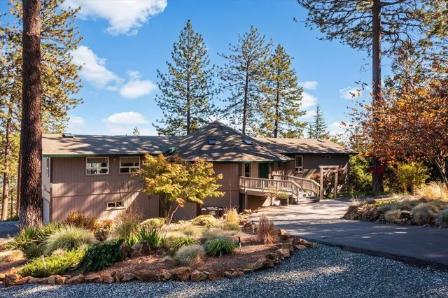 a view of swimming pool with trees in the background