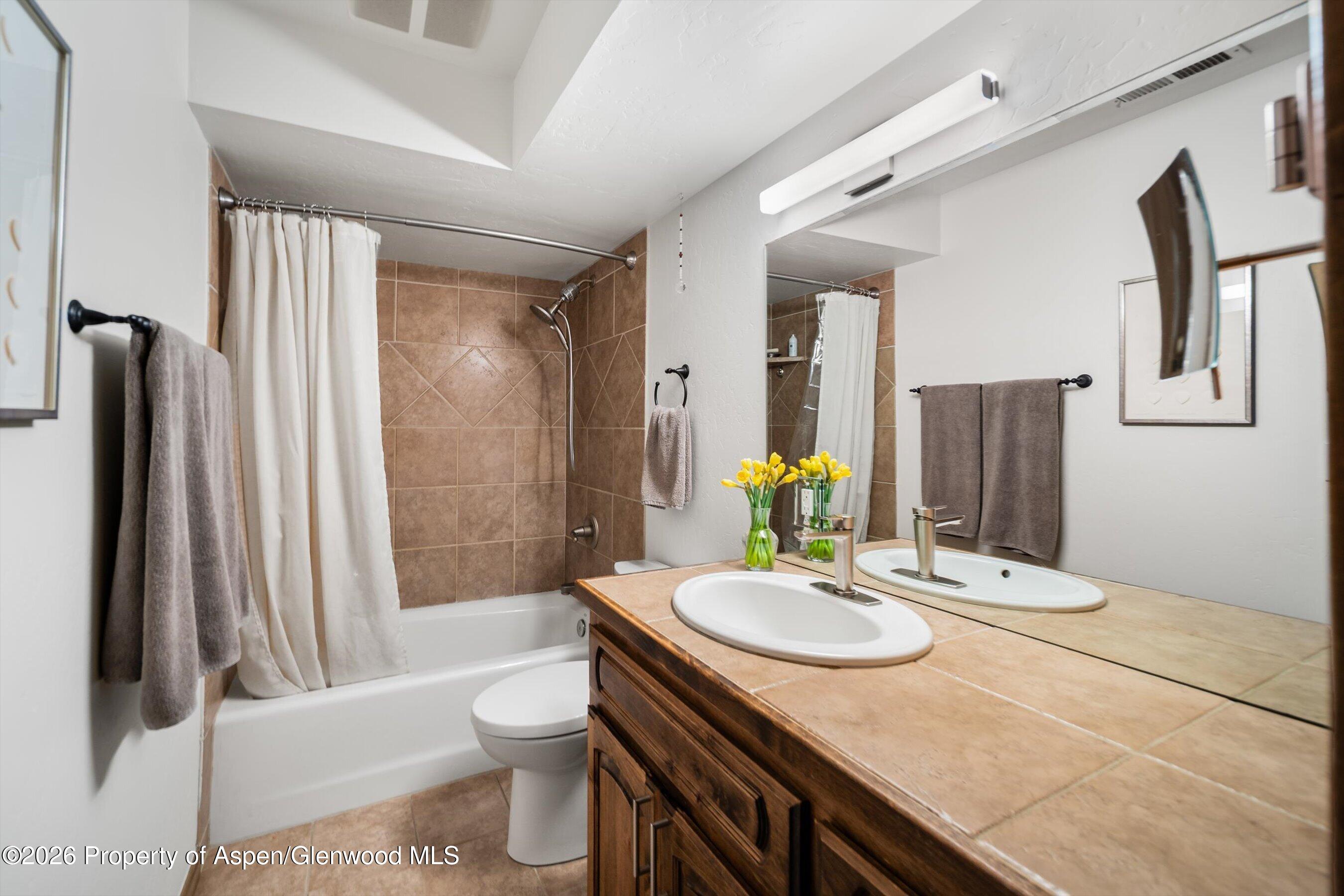 1460 Main Street Carbondale, CO 81623 - Photo 9 of 19 1460MainSt_bath1