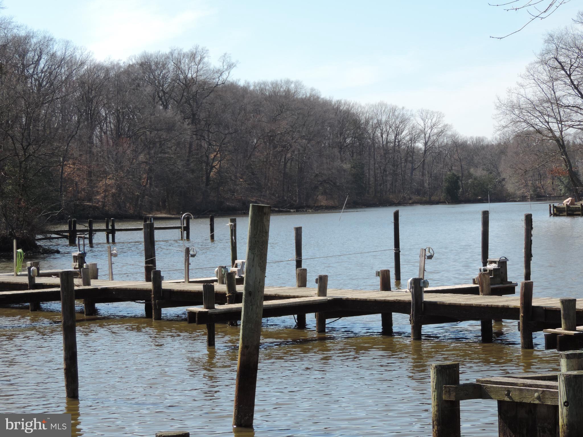 10484 Cogar Road Chestertown, MD 21620 - Photo 5 of 17 WATER PRIVILEGED