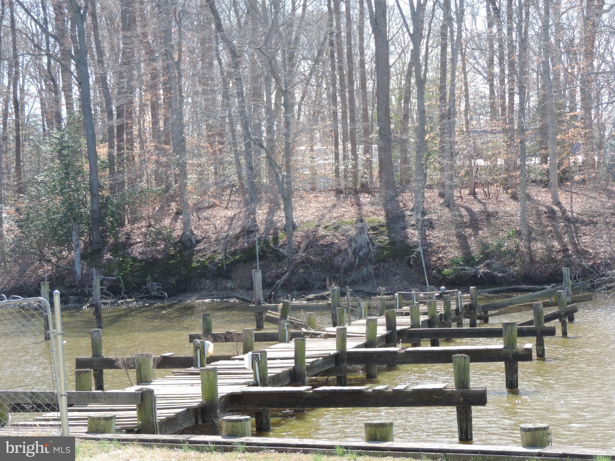10484 Cogar Road Chestertown, MD 21620 - Photo 6 of 17 WATER PRIVILEGED