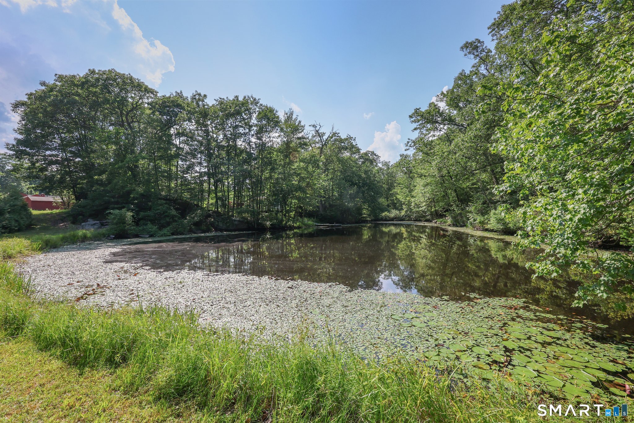 12 Jackson Road Killingworth, CT 06419 - Photo 36 of 40 One of four ponds on this 74 acre property for your enjoyment.
