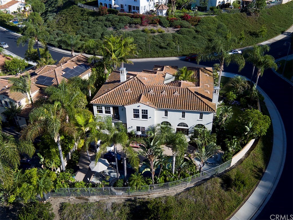 28362 Via Pasito San Juan Capistrano, CA 92675 - Photo 4 of 69 Privacy all around this huge lot