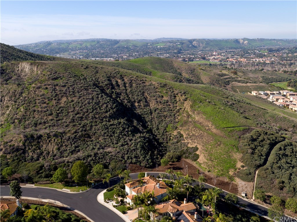 28362 Via Pasito San Juan Capistrano, CA 92675 - Photo 66 of 69