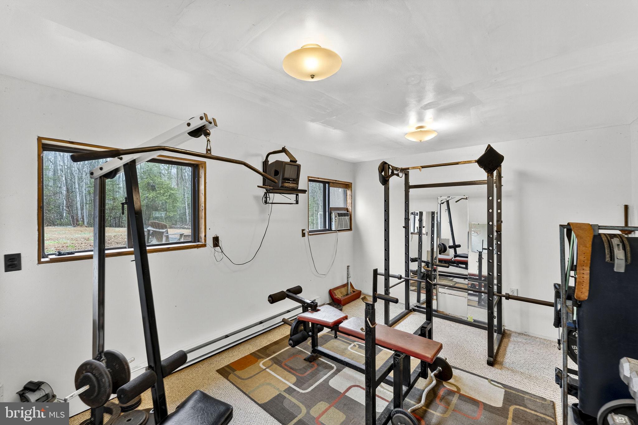 2266 Beaver Dam Road Midland, VA 22728 - Photo 52 of 93 a view of a room with gym equipment