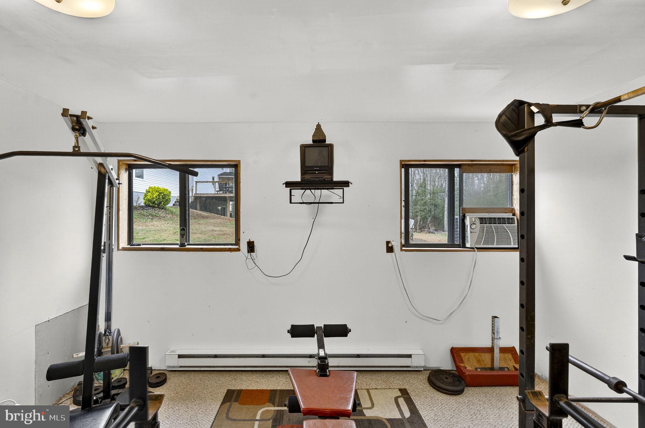 2266 Beaver Dam Road Midland, VA 22728 - Photo 53 of 93 a room with gym equipment and windows