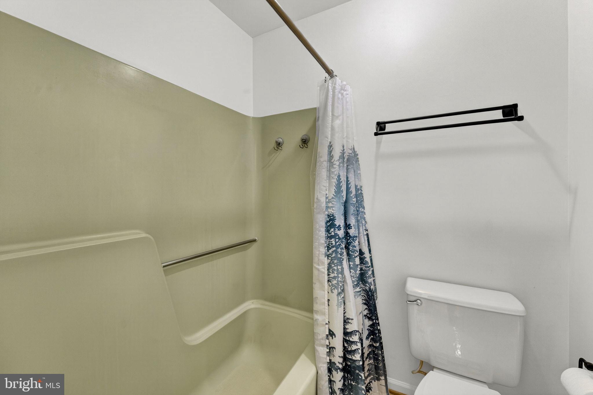 2266 Beaver Dam Road Midland, VA 22728 - Photo 66 of 93 a bathroom with a shower and a toilet