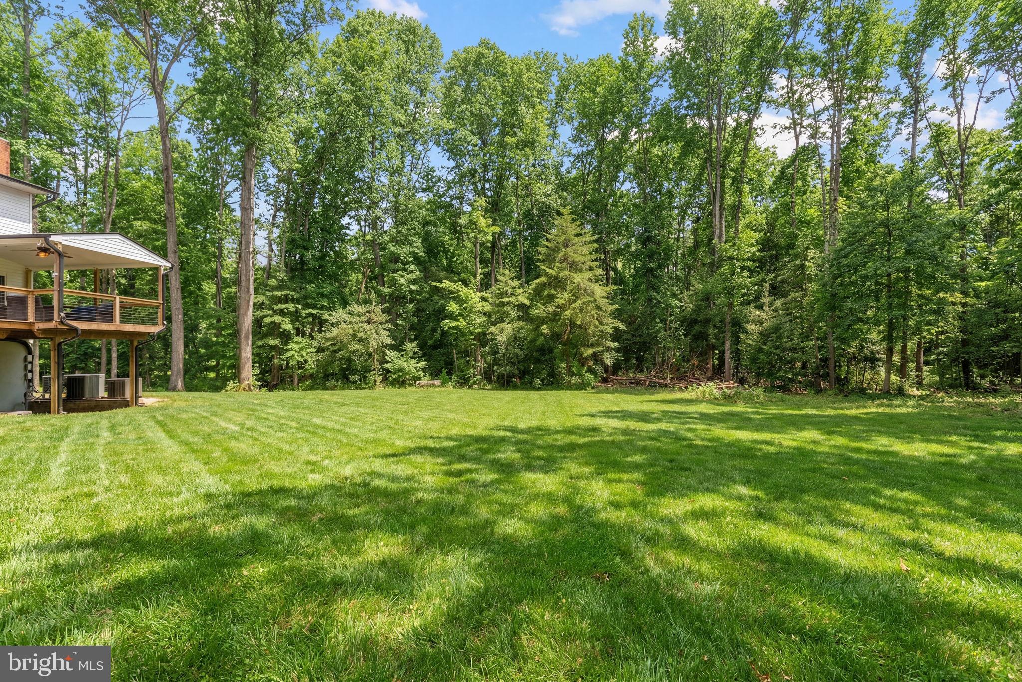 2266 Beaver Dam Road Midland, VA 22728 - Photo 86 of 93 a view of a backyard with a garden