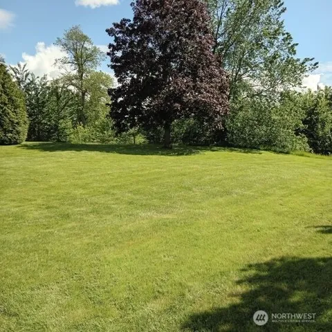 a view of an ocean from a yard