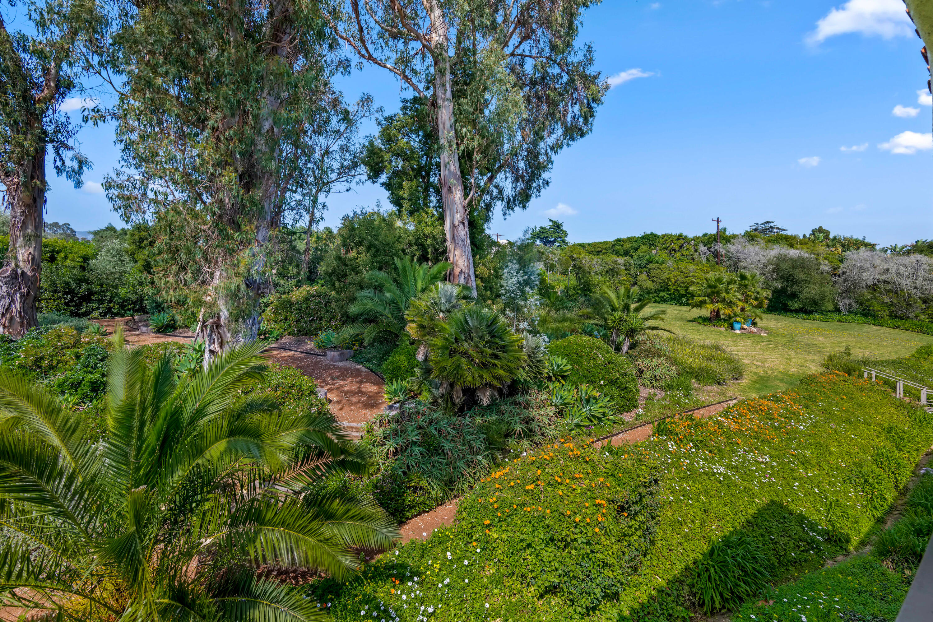 1220 Coast Village Road, Unit 303 Santa Barbara, CA 93108 - Photo 13 of 29 a view of a garden with a tree