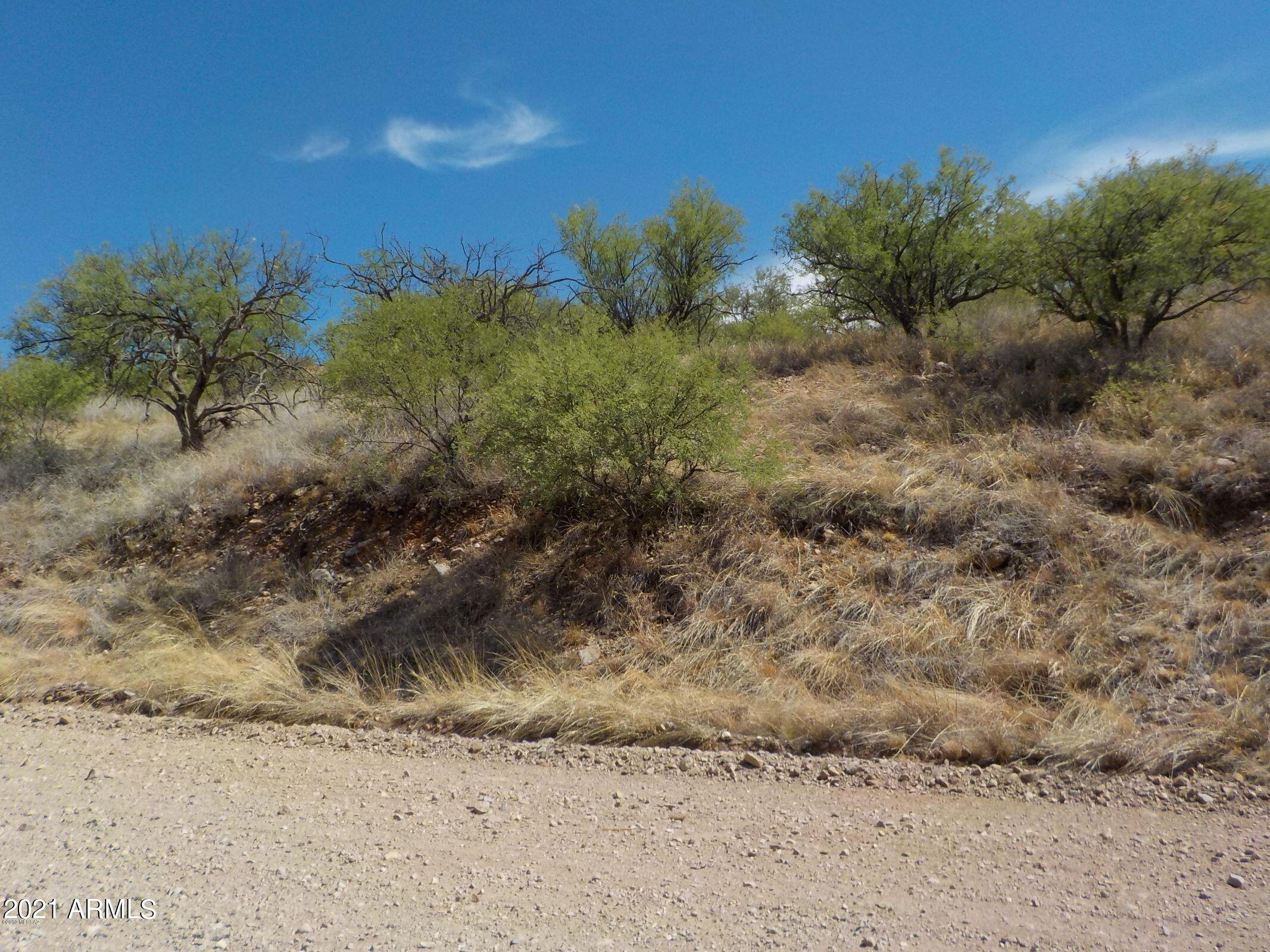 978 Avenida Revolucion, Unit 17 Rio Rico, AZ 85648 - Photo 4 of 4 20190703043051251757000000-o