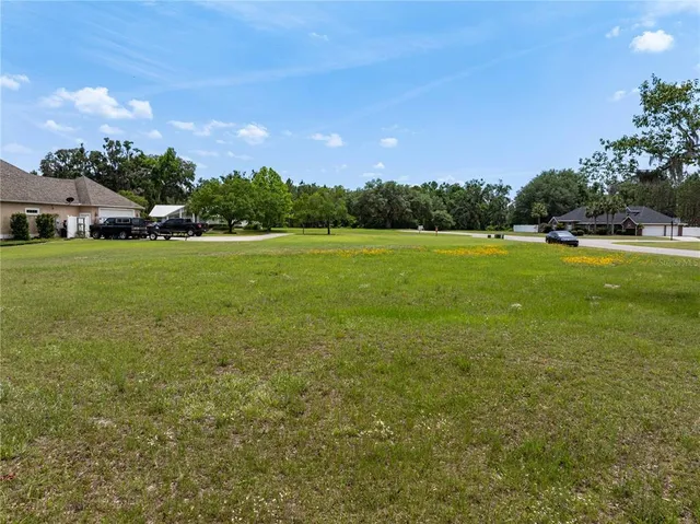 a view of a big yard with a house in the background