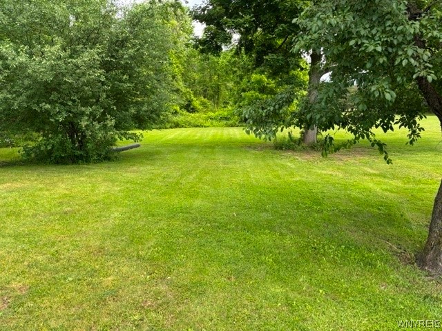 10889 Maple Ridge Road Medina, NY 14103 - Photo 4 of 24